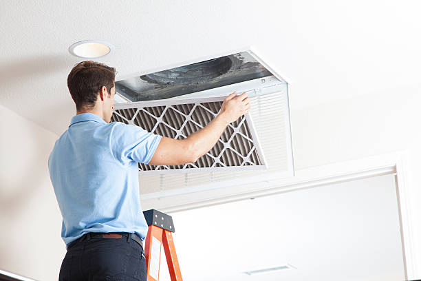 Best HVAC Maintenance Near Me  in Brown City, MI